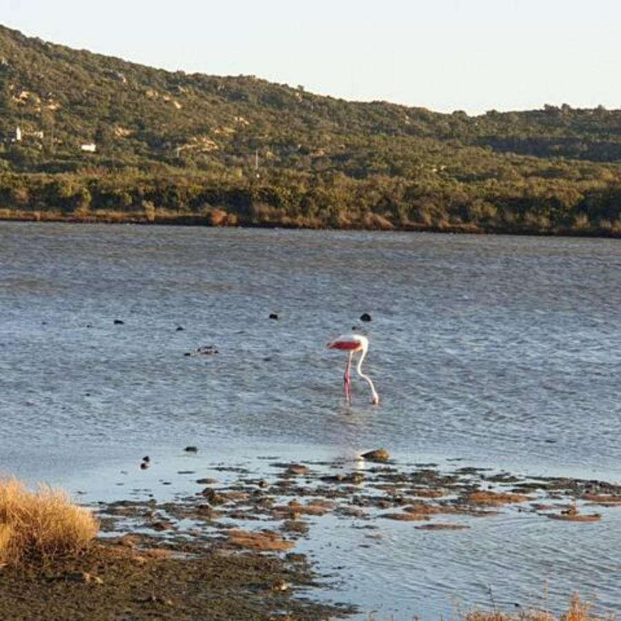 Appartamento Vasiliki Porto San Paolo  Bagian luar foto