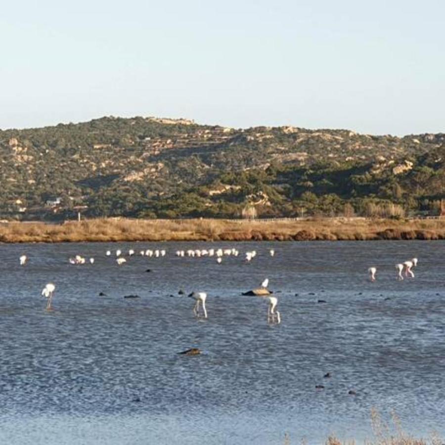 Appartamento Vasiliki Porto San Paolo  Bagian luar foto
