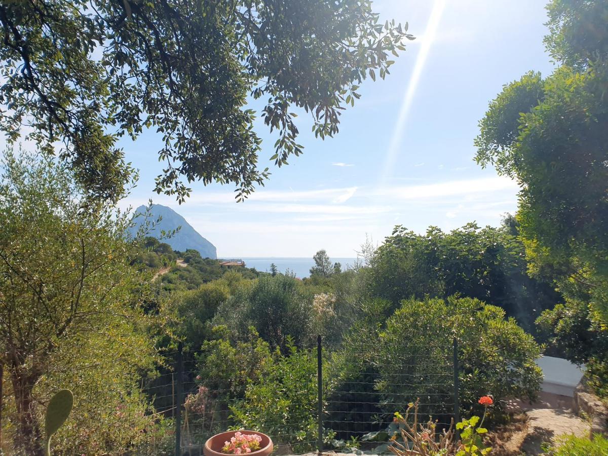 Appartamento Vasiliki Porto San Paolo  Bagian luar foto