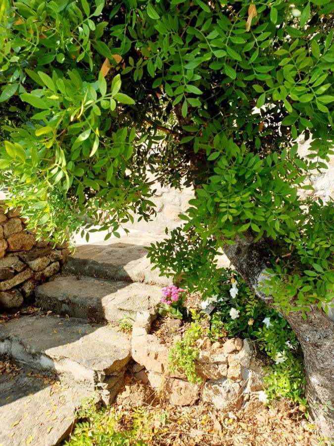 Appartamento Vasiliki Porto San Paolo  Bagian luar foto